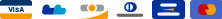 Footer Logo